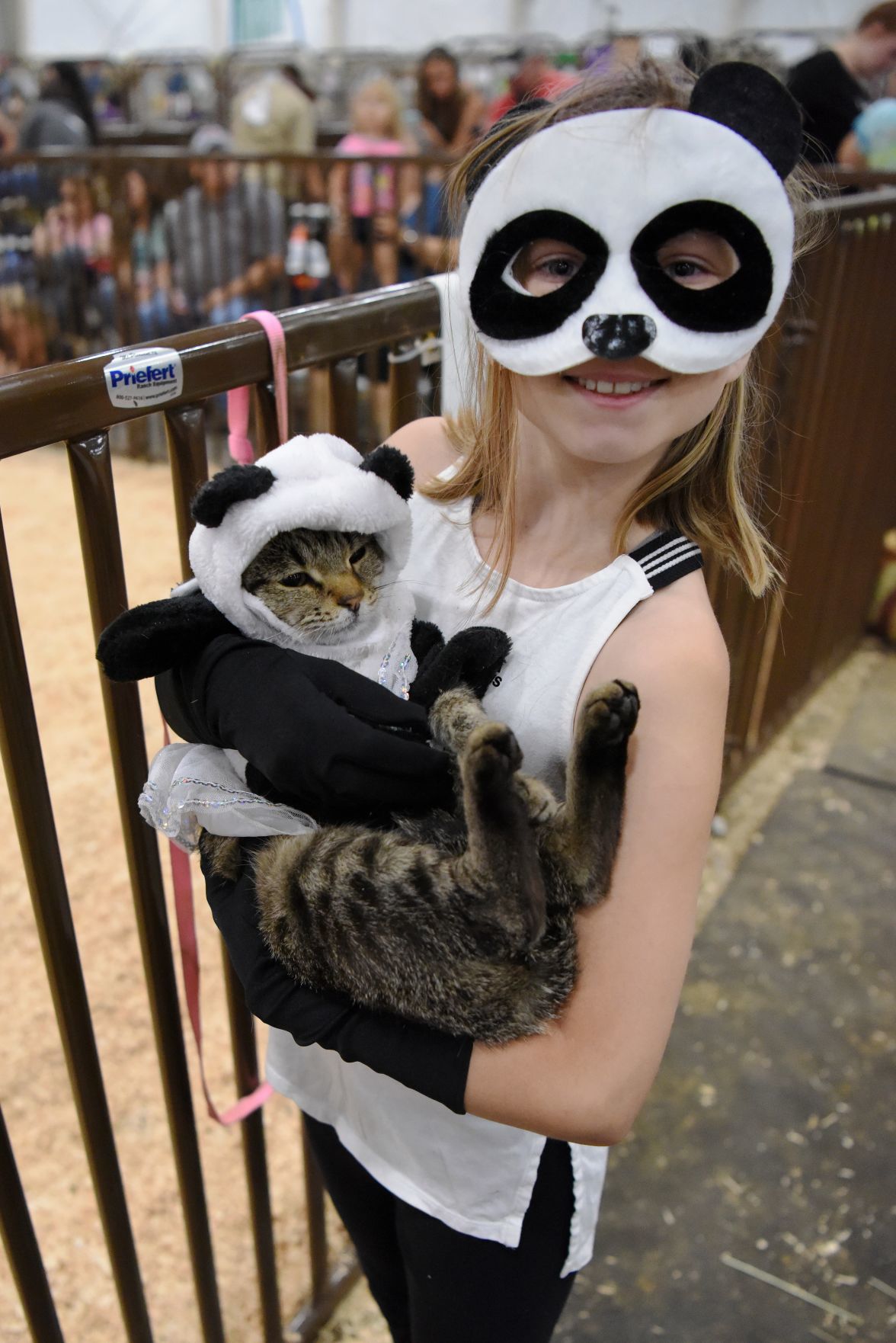 Animal Costume Parade